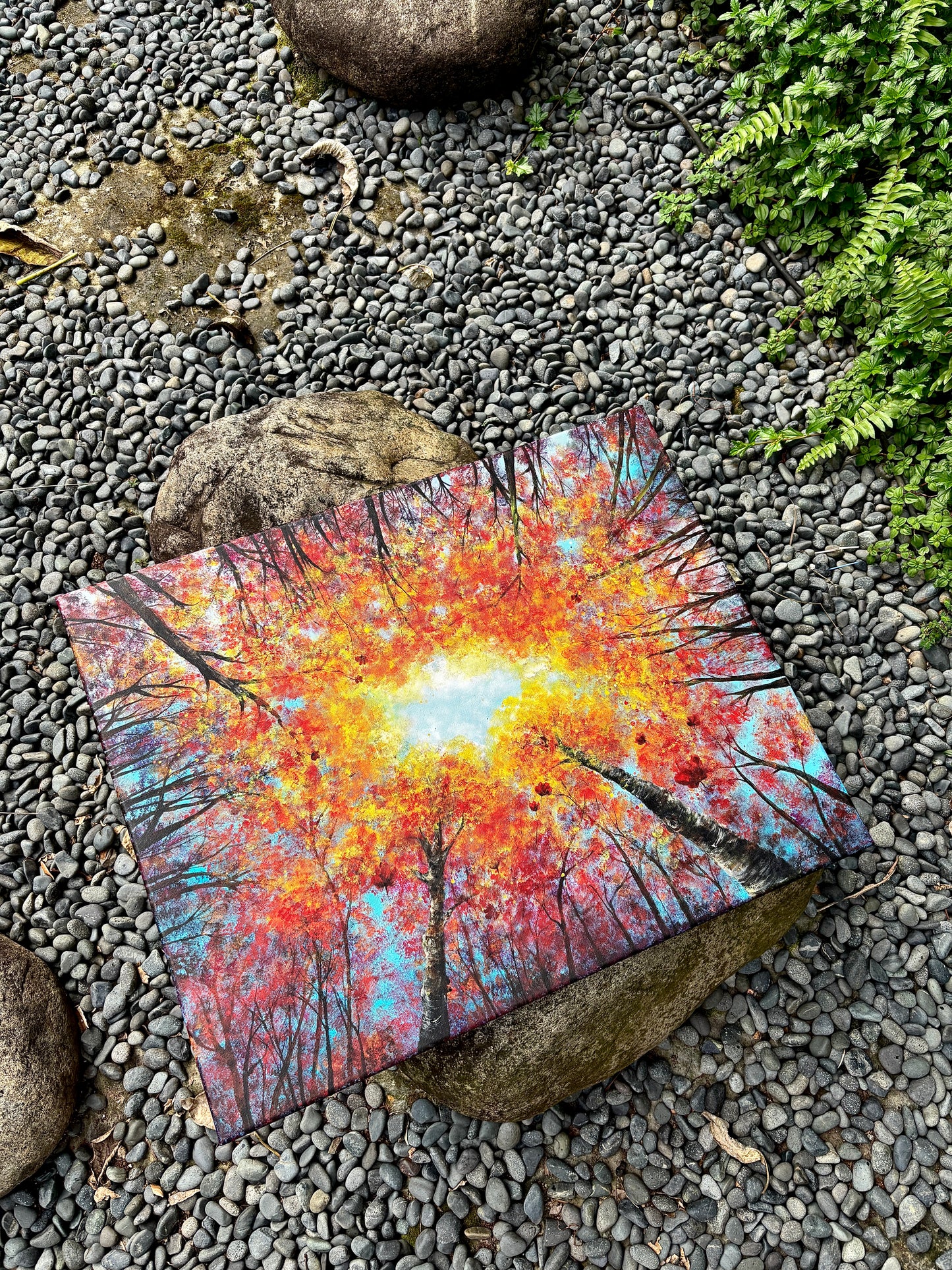 Beneath the falling gold