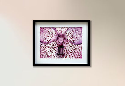 The Orchid's Heart